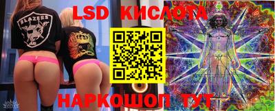 гашик Аргун