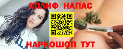 гашик Аргун