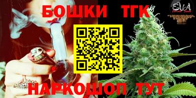 гашик Аргун