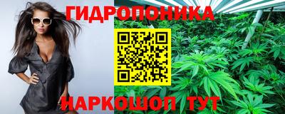 гашик Аргун