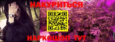 гашик Аргун