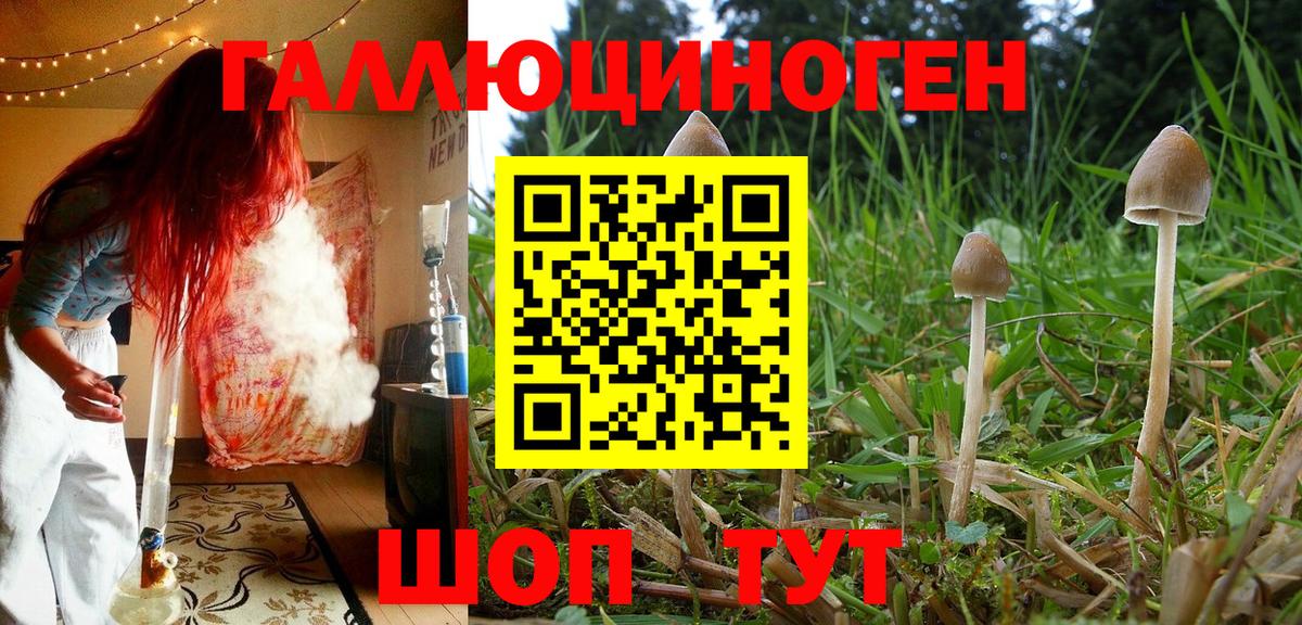 Галлюциногенные грибы Magic Shrooms  Вход с VPN  Архангельск  Галлюциногенные грибы прущие грибы 